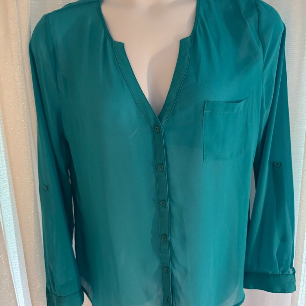 Teal Blouse